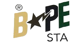 bapesta logo